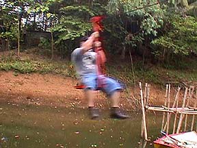 flyingfox.jpg