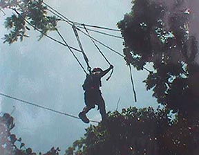 ropes-accept.jpg