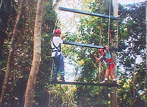 ropes-hi_ladder_1.jpg