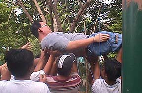 spider1.jpg