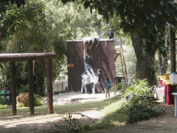 wall02.jpg